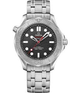 Omega SEAMASTER DIVER 300M 42 mm, steel on steel 210.30.42.20.01.002