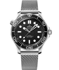 Omega SEAMASTER DIVER 300M 42 mm, steel on steel 210.30.42.20.01.010