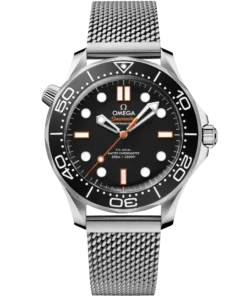 Omega SEAMASTER DIVER 300M 42 mm, steel on steel 210.30.42.20.01.018