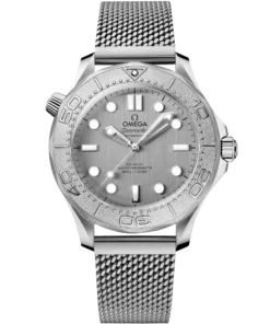 Omega SEAMASTER DIVER 300M 42 mm, steel on steel 210.30.42.20.06.002