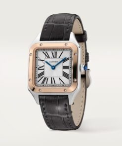 Alternative view of SANTOS-DUMONT WATCH