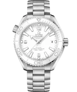 Omega SEAMASTER PLANET OCEAN 600M 39.5 mm, steel on steel 215.30.40.20.04.001