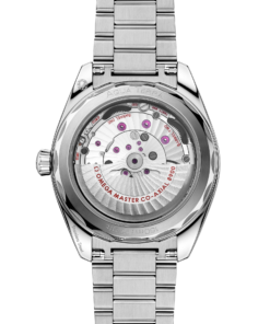 Alternative view of Omega SEAMASTER AQUA TERRA 150M 41 mm, steel on steel 220.10.41.21.01.002