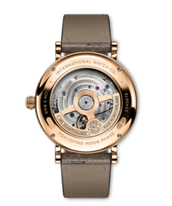 Alternative view of Portofino Automatic Moon Phase 37