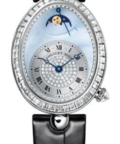 Reine de Naples 8909