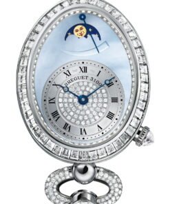 Reine de Naples 8909