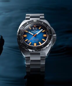 Alternative view of Shell Star Big Date