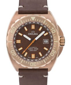 Shell Star Bronze