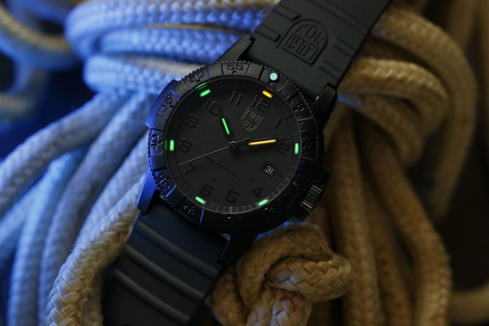 Leatherback Sea Turtle Giant 0320 Series - Image 3
