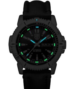 Alternative view of Modern Mariner Automatic 6500 Series