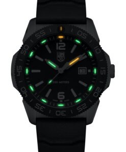 Alternative view of Pacific Diver 3120 Series
