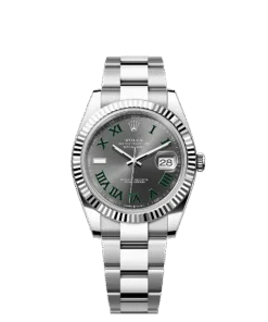 Rolex Datejust 41 41 mm Oystersteel and white gold 126334-0021