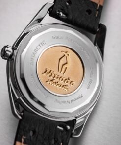 Alternative view of Antarctic Spider 35 Silver