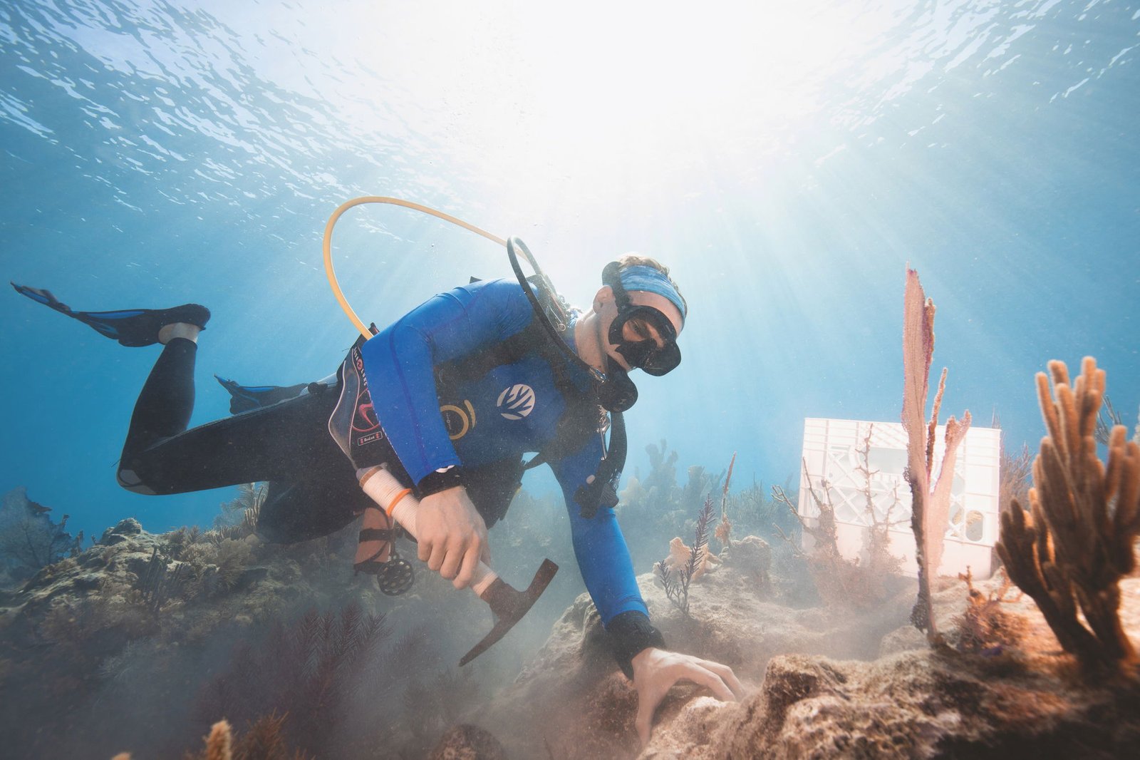 Carysfort Reef Limited Edition - Image 3