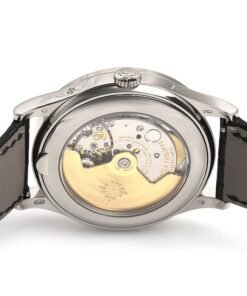 Alternative view of Patek Philippe Annual Calendar (Ref# 5396G-014)