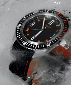 Alternative view of “Amphibia” 0252