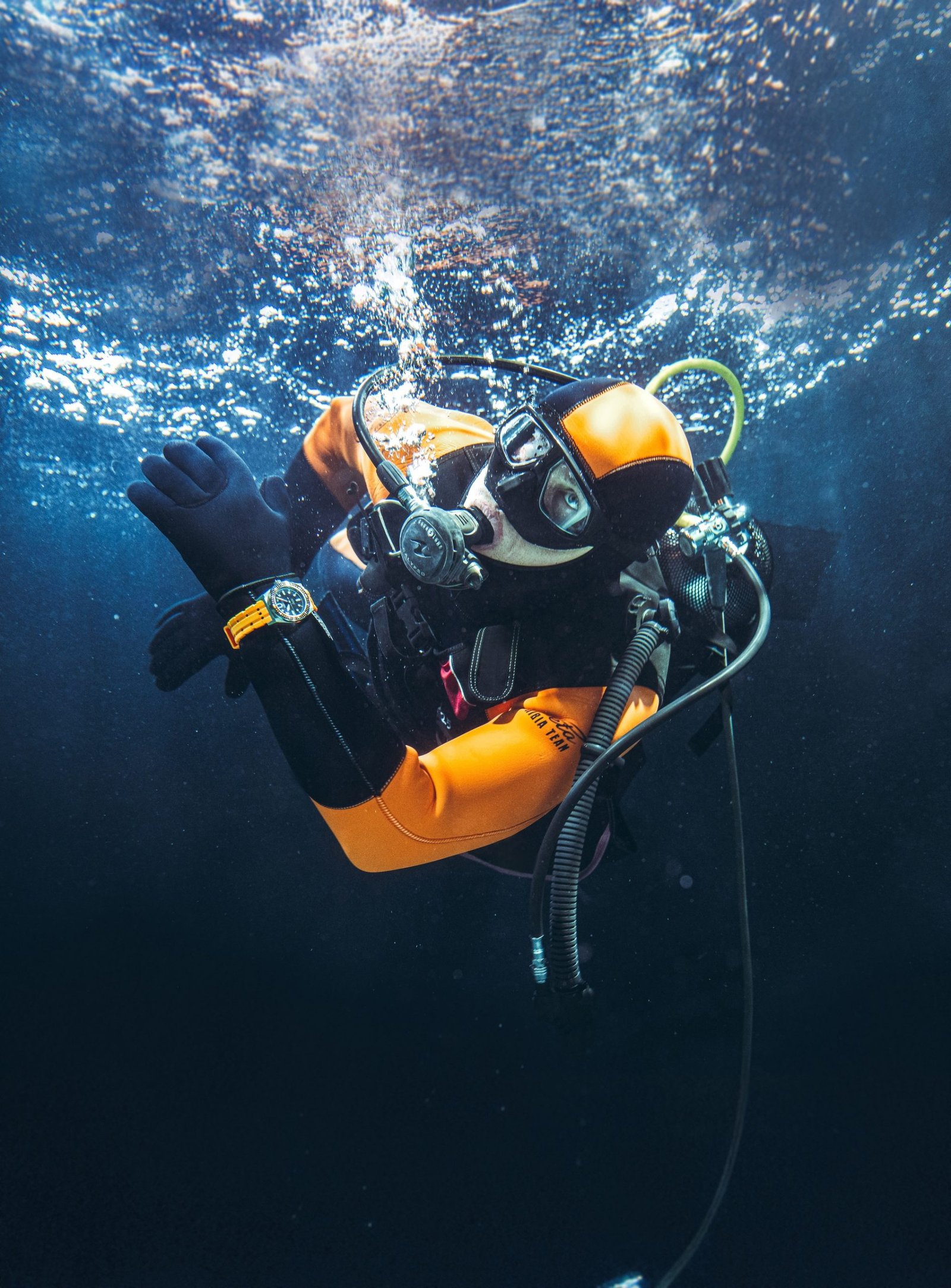 “Amphibia” 0321 - Image 12