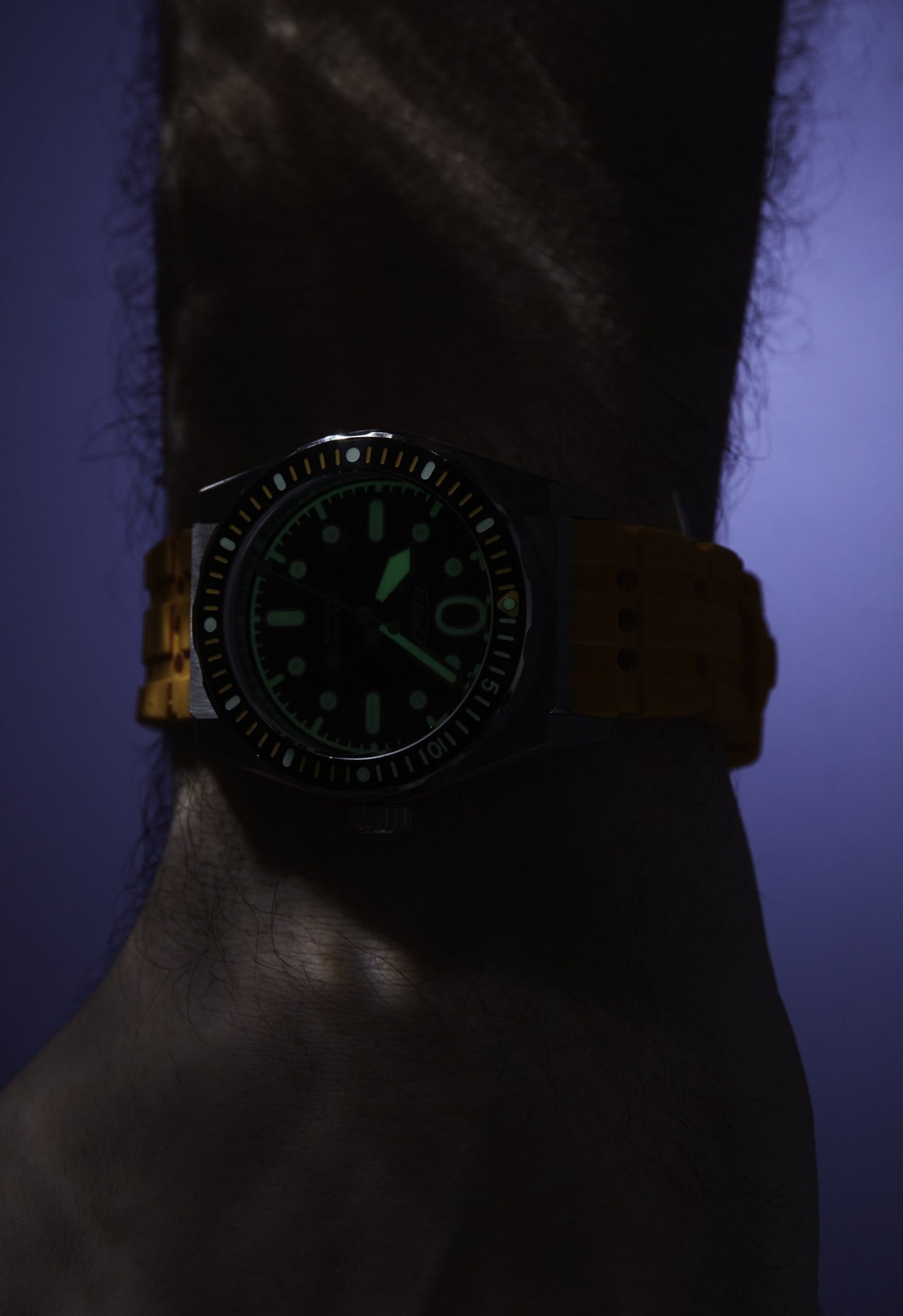 “Amphibia” 0321 - Image 6