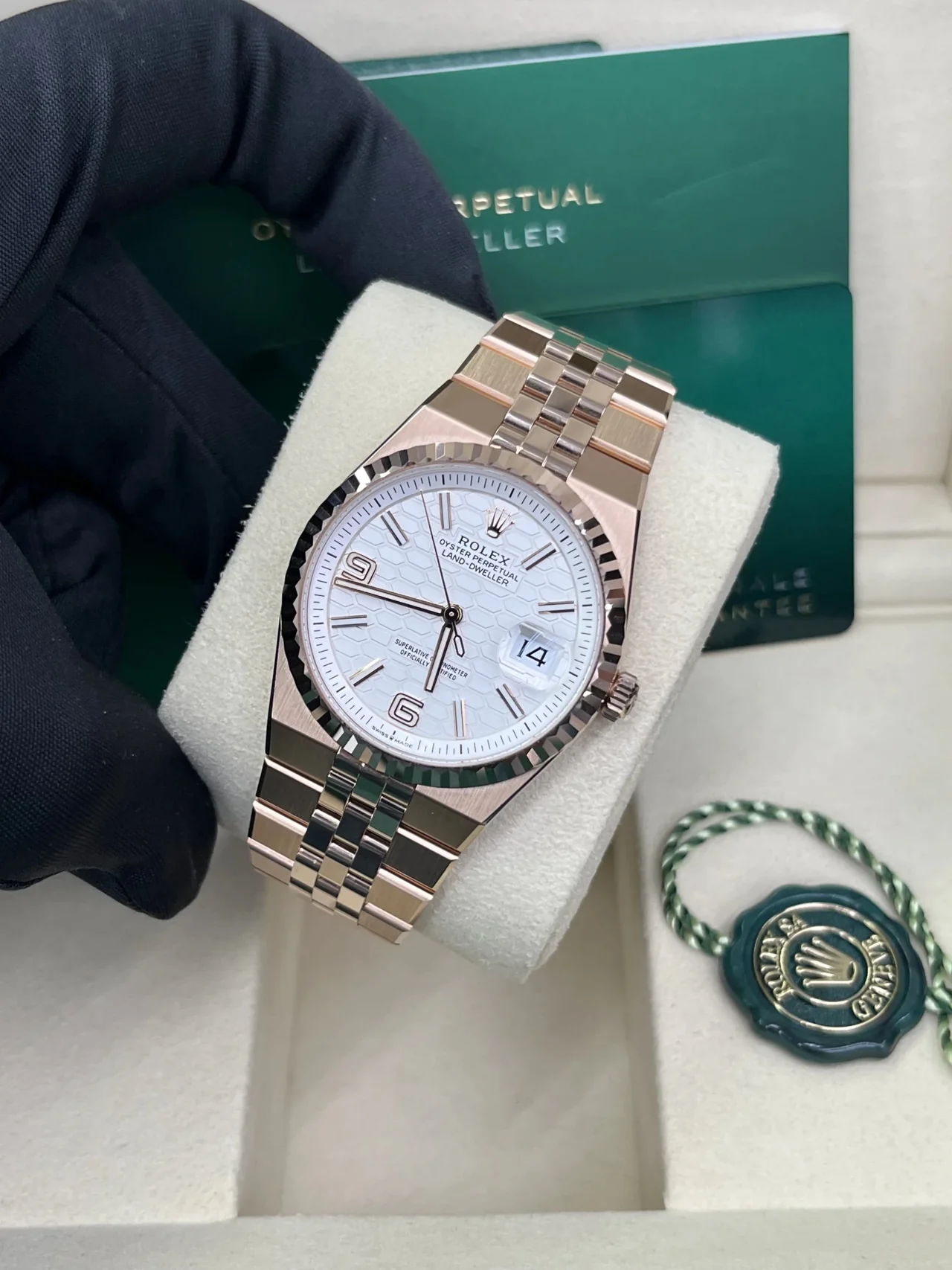 Rolex Land-Dweller 36 36 mm Everose gold 127235-0001 - Image 20