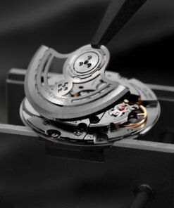 Alternative view of Nereide GMT Ceratung™