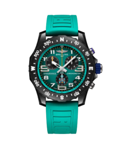 PROFESSIONAL ENDURANCE PRO 44 IRONMAN® 70.3 WORLD CHAMPIONSHIP 2025